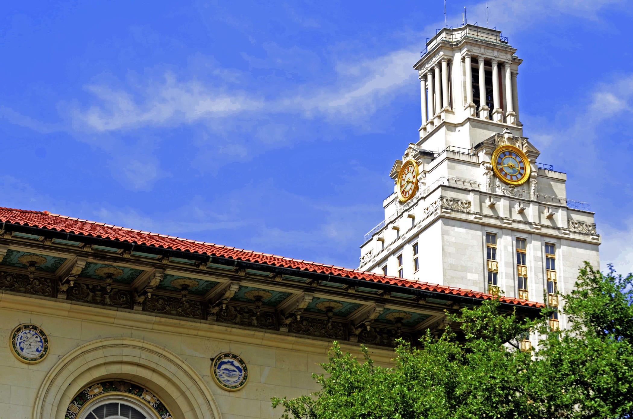 UT Tower and campus scenery