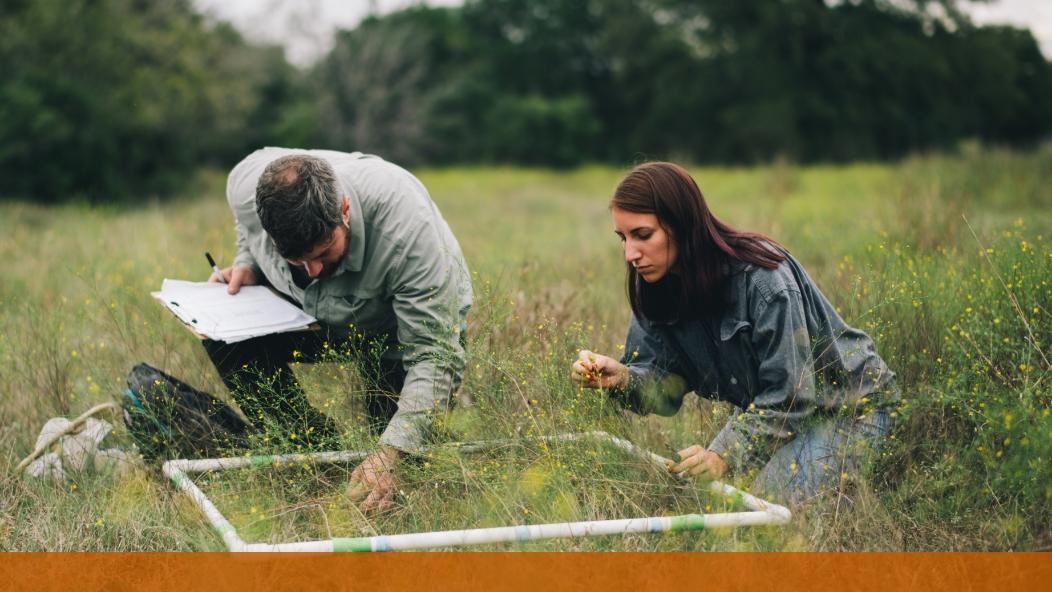 Professor and student noting their research in a grassy field